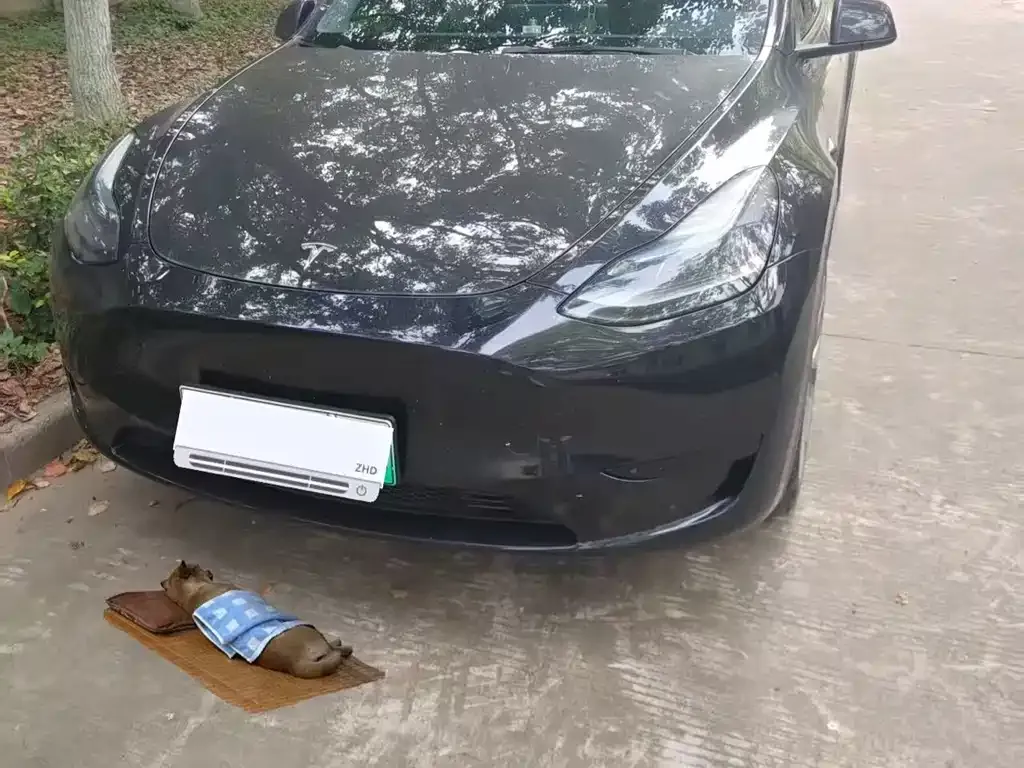 Tesla Model Y — фото 1