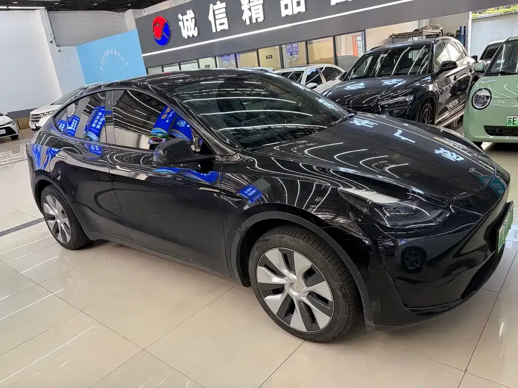 Tesla Model Y — фото 10