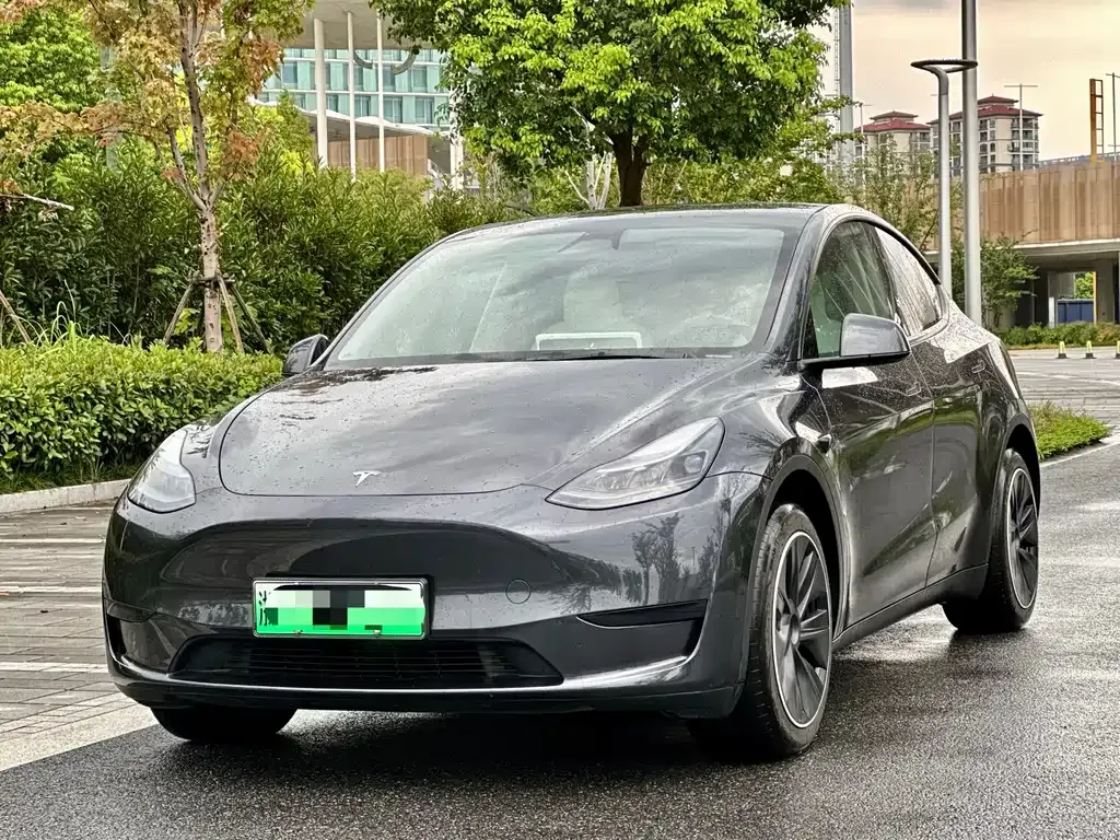Tesla Model Y — фото 1