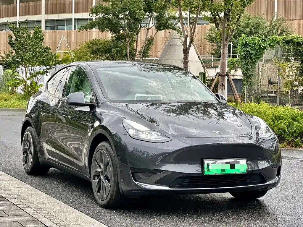 Tesla Model Y — фото 5