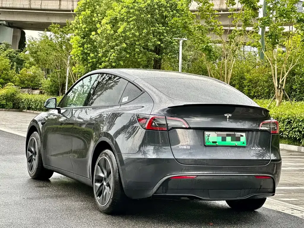 Tesla Model Y — фото 6