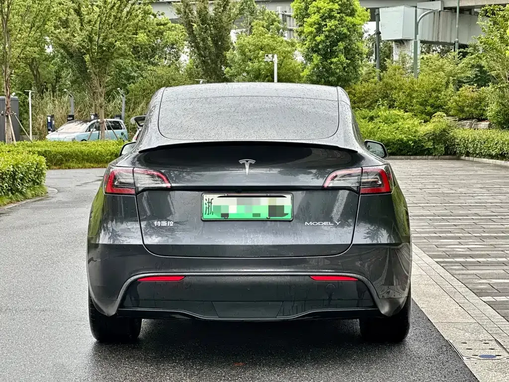 Tesla Model Y — фото 8
