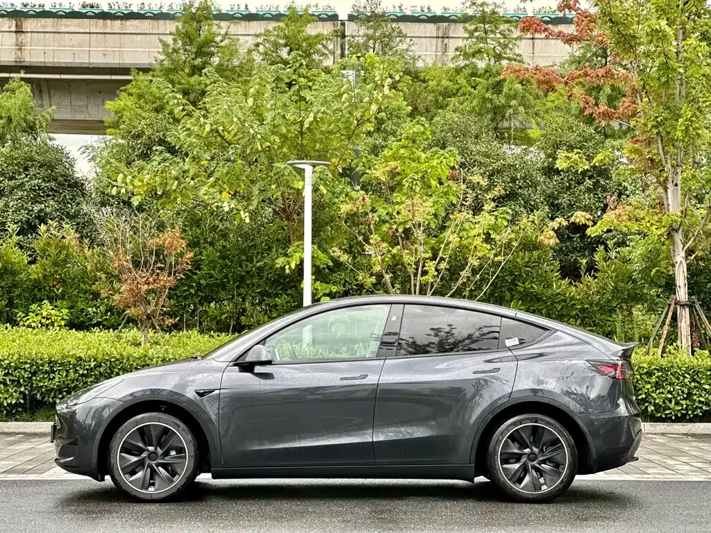 Tesla Model Y — фото 10