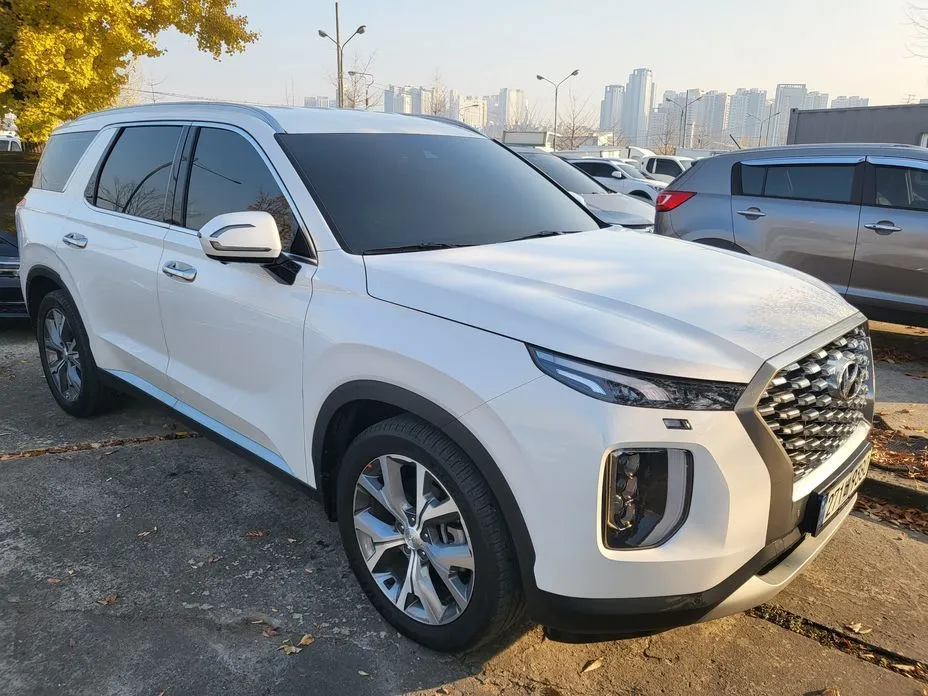 Hyundai Palisade — фото 1