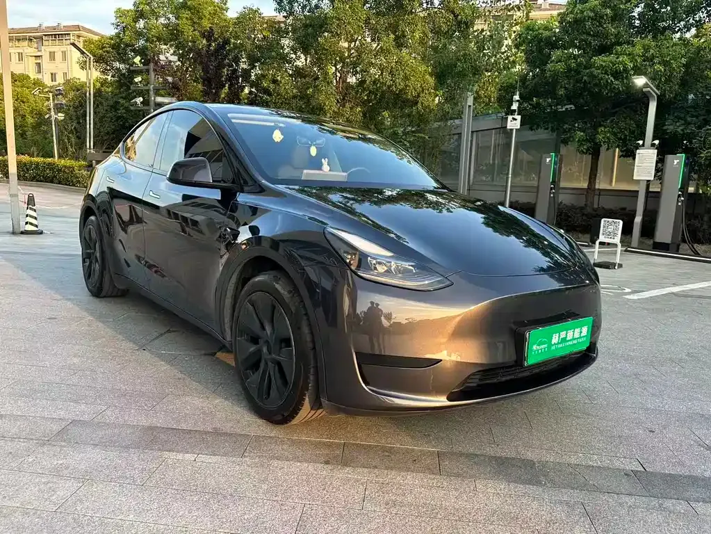 Tesla Model Y — фото 1