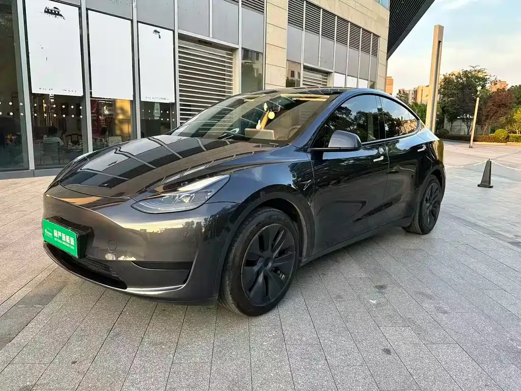Tesla Model Y — фото 7