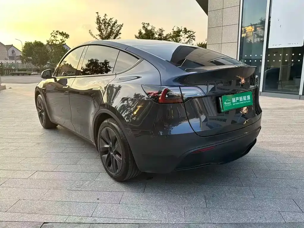 Tesla Model Y — фото 3