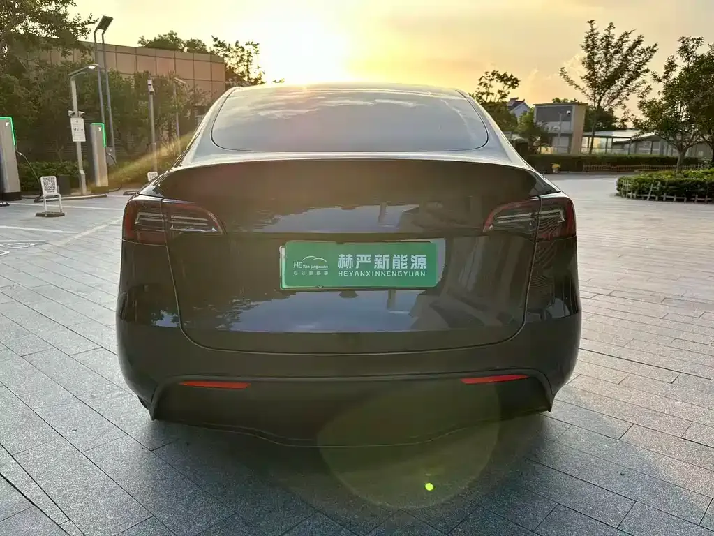 Tesla Model Y — фото 8
