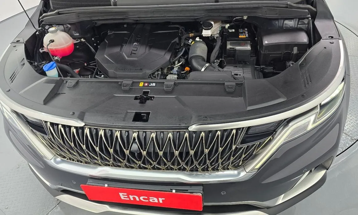 Kia Carnival — фото 10