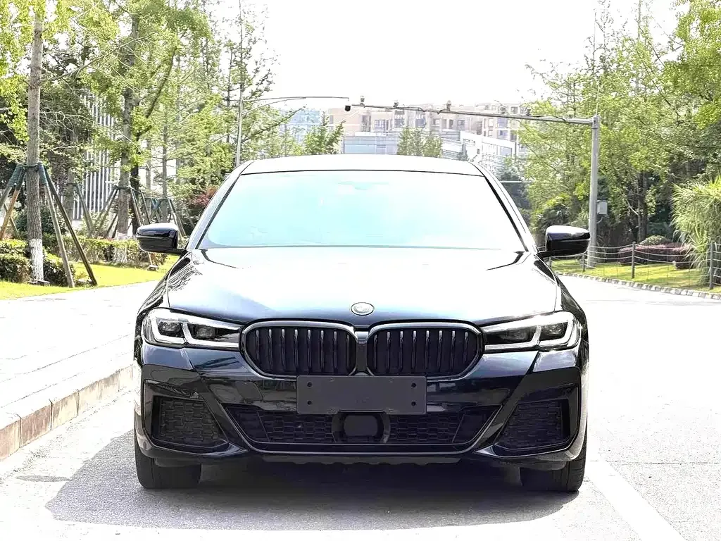 BMW 5 Series New Energy — фото 7