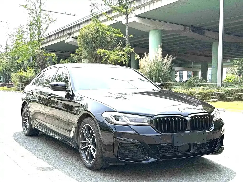 BMW 5 Series New Energy — фото 6
