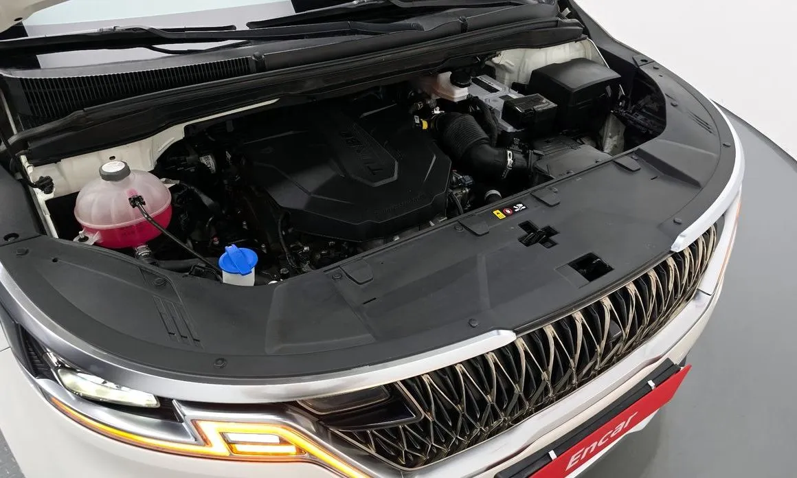 Kia Carnival — фото 10
