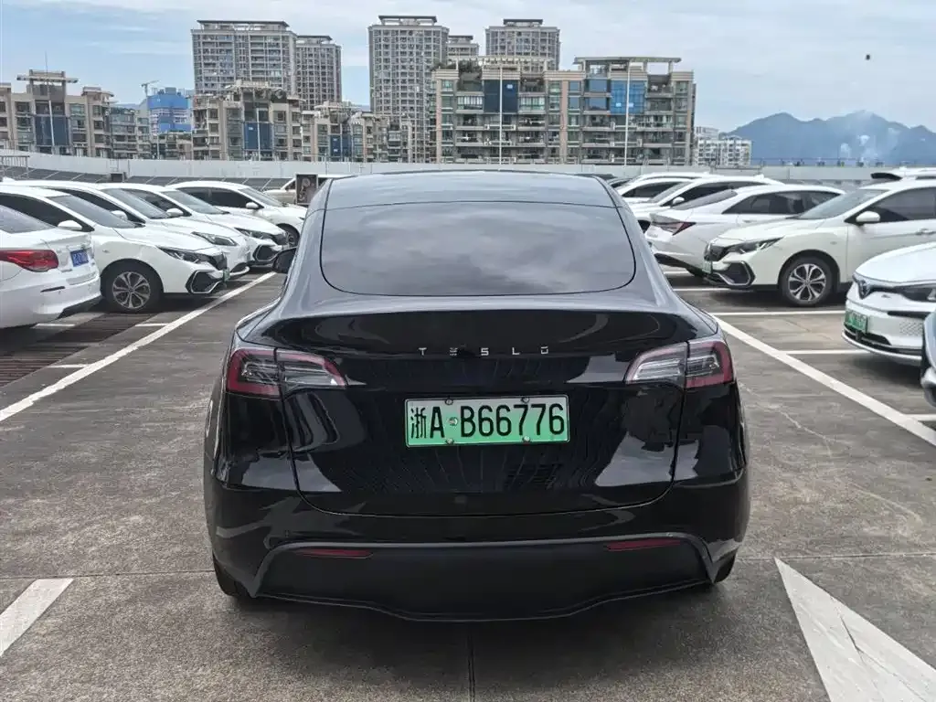 Tesla Model Y — фото 10
