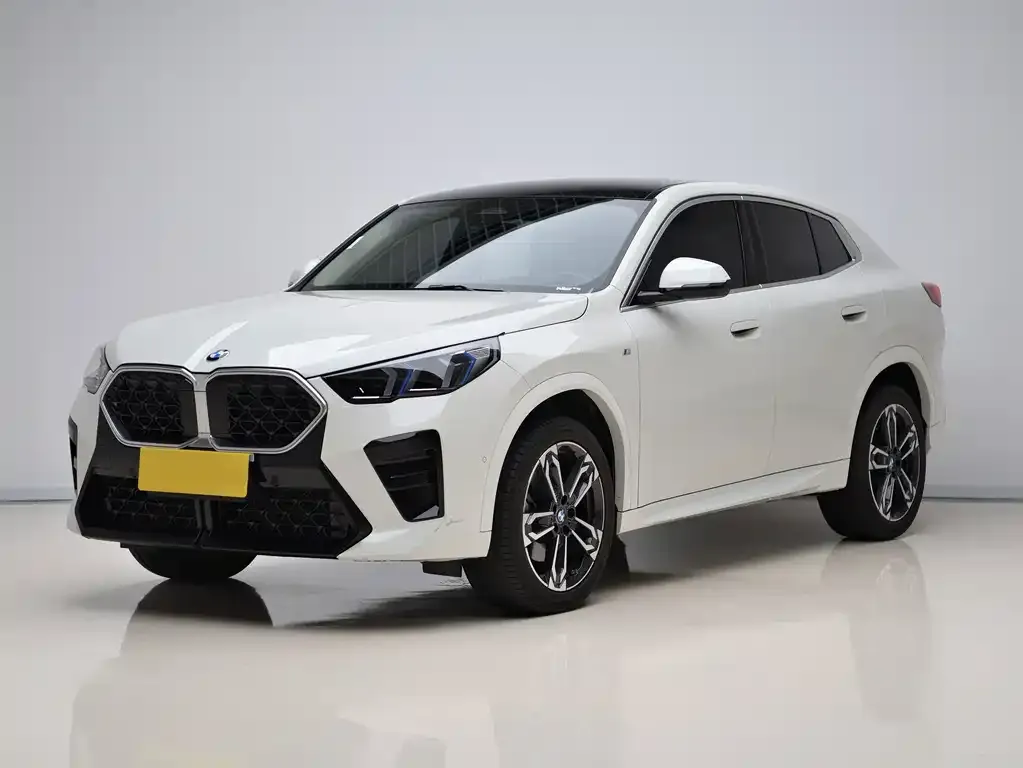 BMW X2 (Import) — фото 1