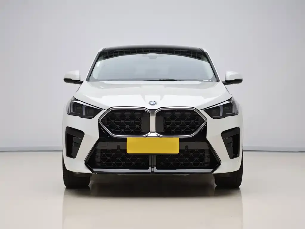 BMW X2 (Import) — фото 2