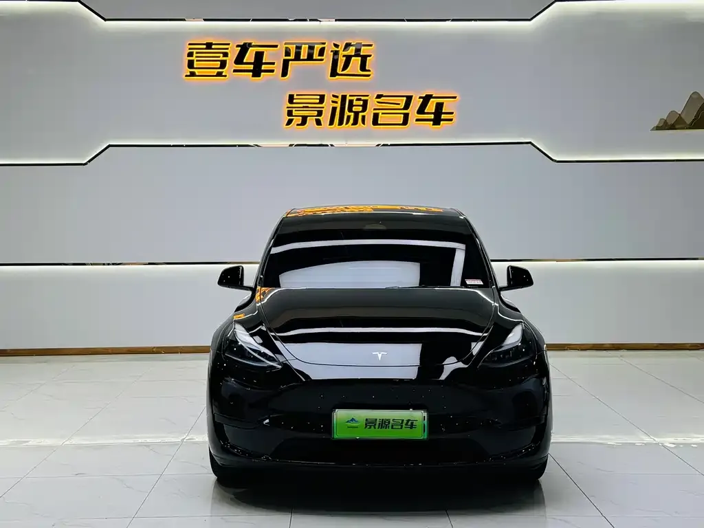 Tesla Model Y — фото 10