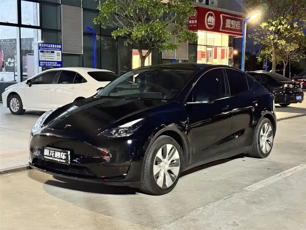 Tesla Model Y — фото 1