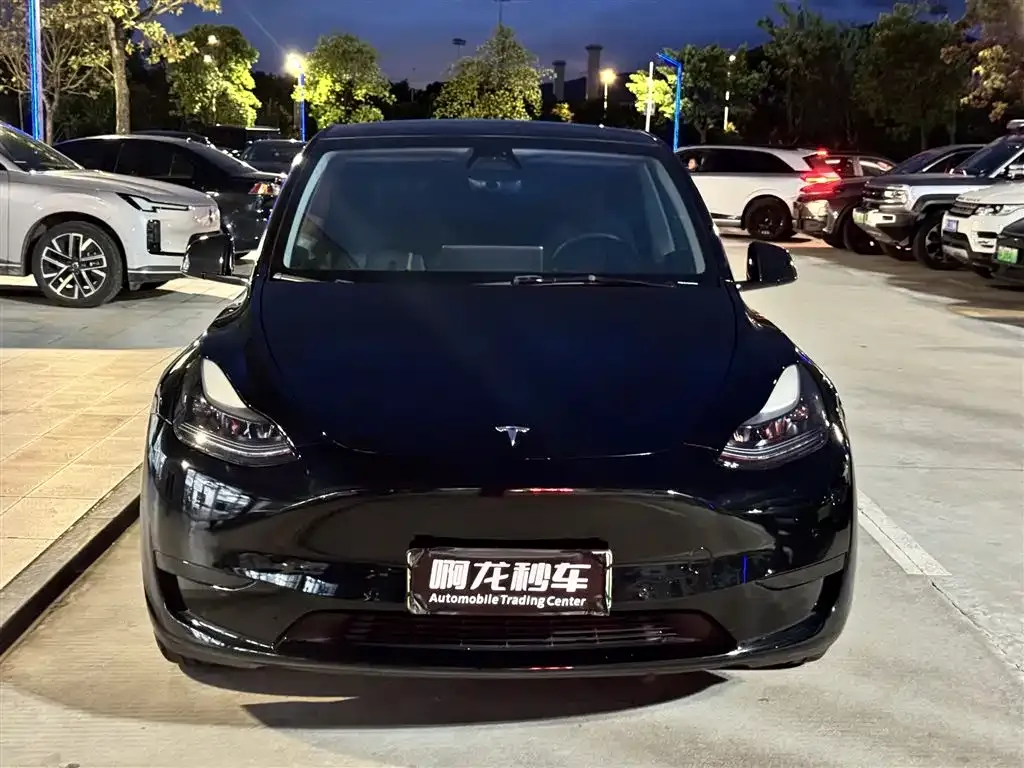 Tesla Model Y — фото 8