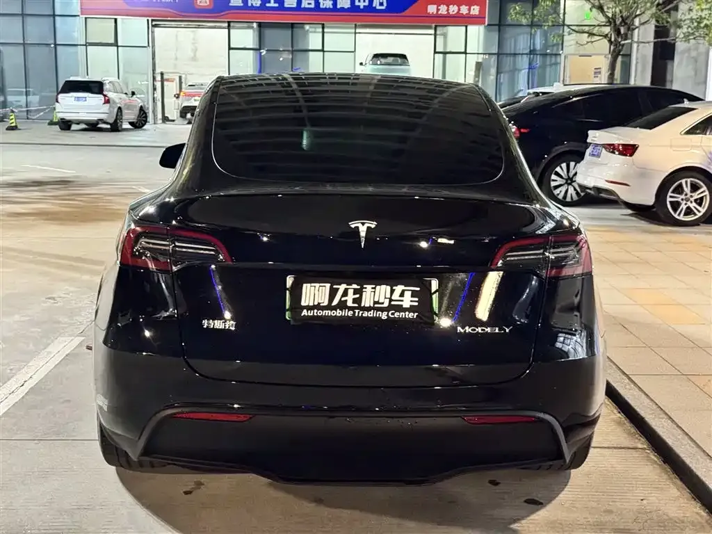 Tesla Model Y — фото 5
