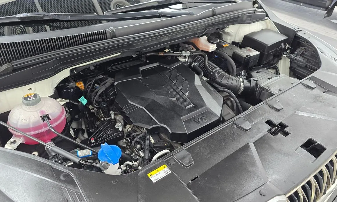 Kia Carnival — фото 10