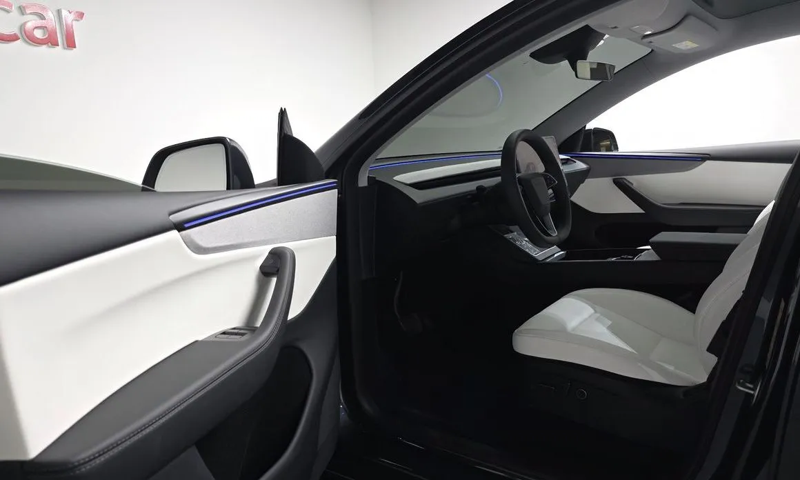 Tesla Model Y — фото 5