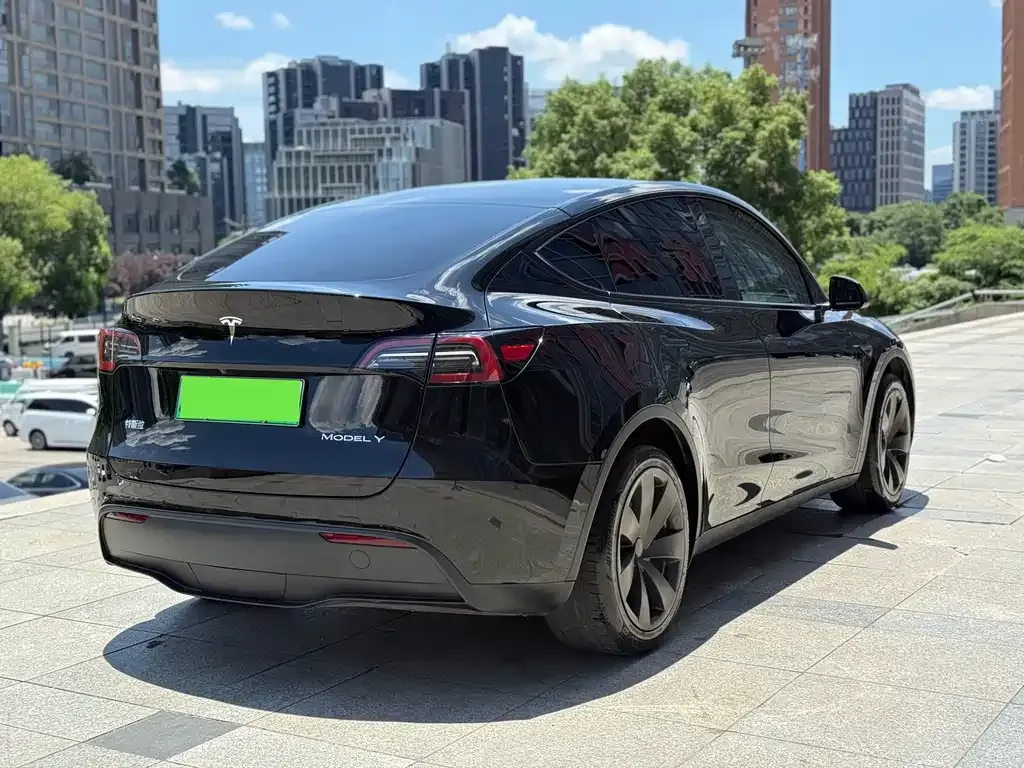 Tesla Model Y — фото 3