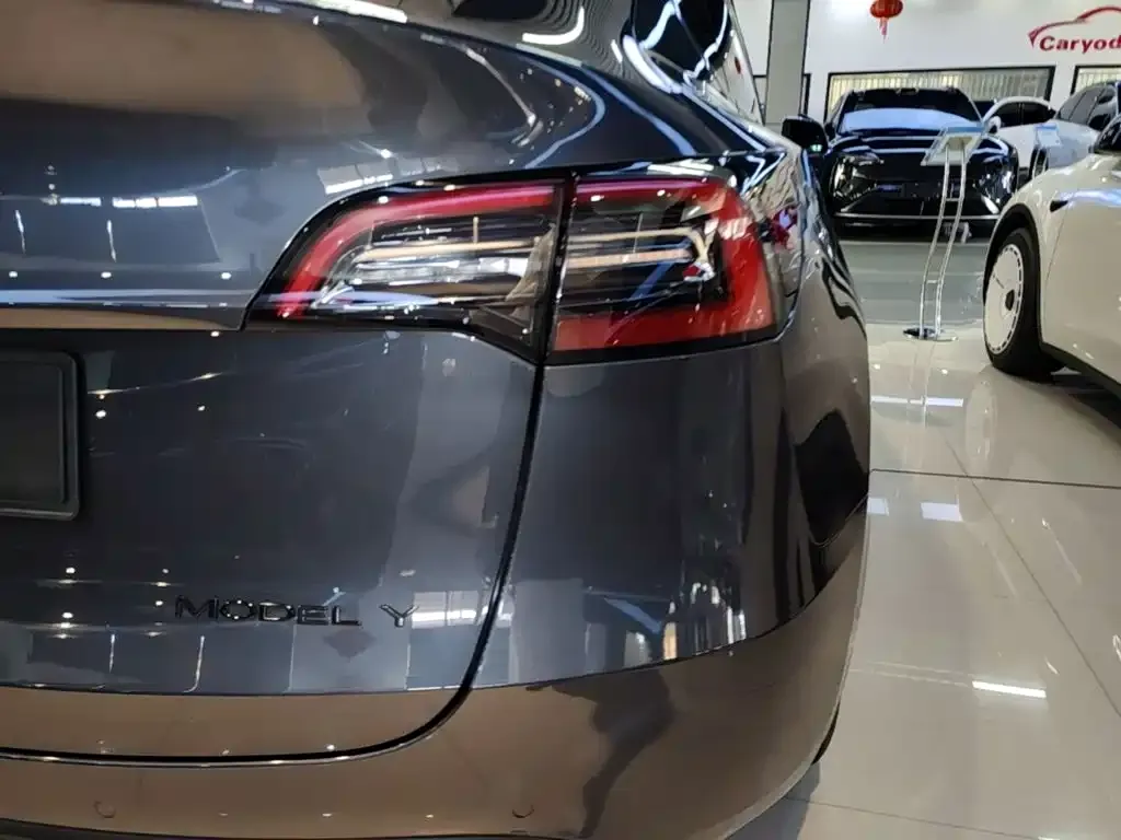 Tesla Model Y — фото 8