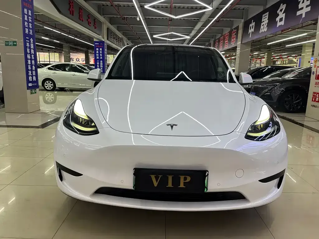 Tesla Model Y — фото 10