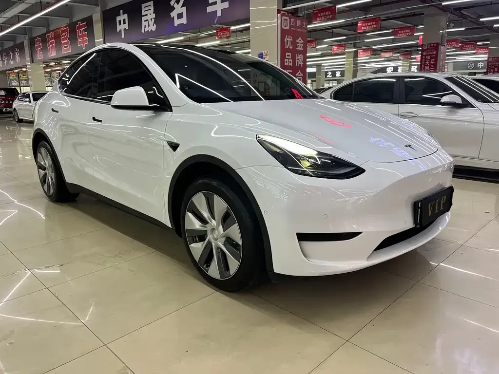 Tesla Model Y — фото 5