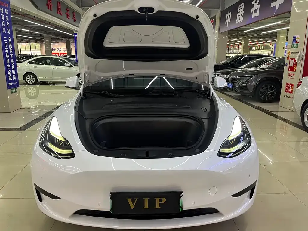 Tesla Model Y — фото 6