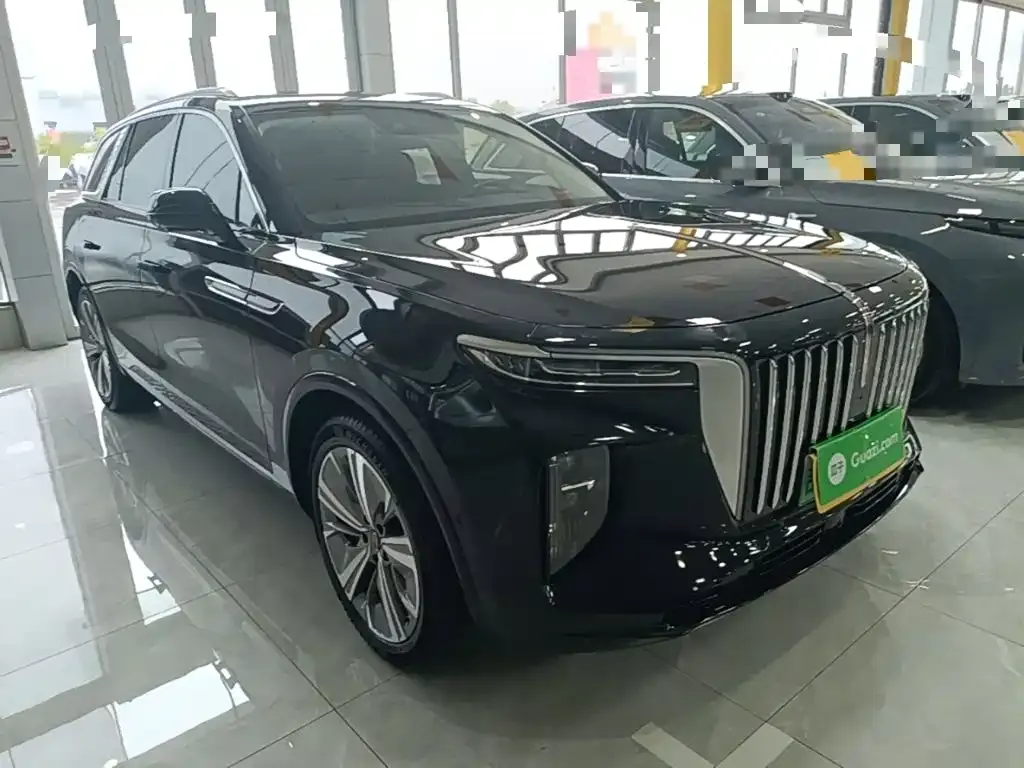 Hongqi E-HS9 — фото 4
