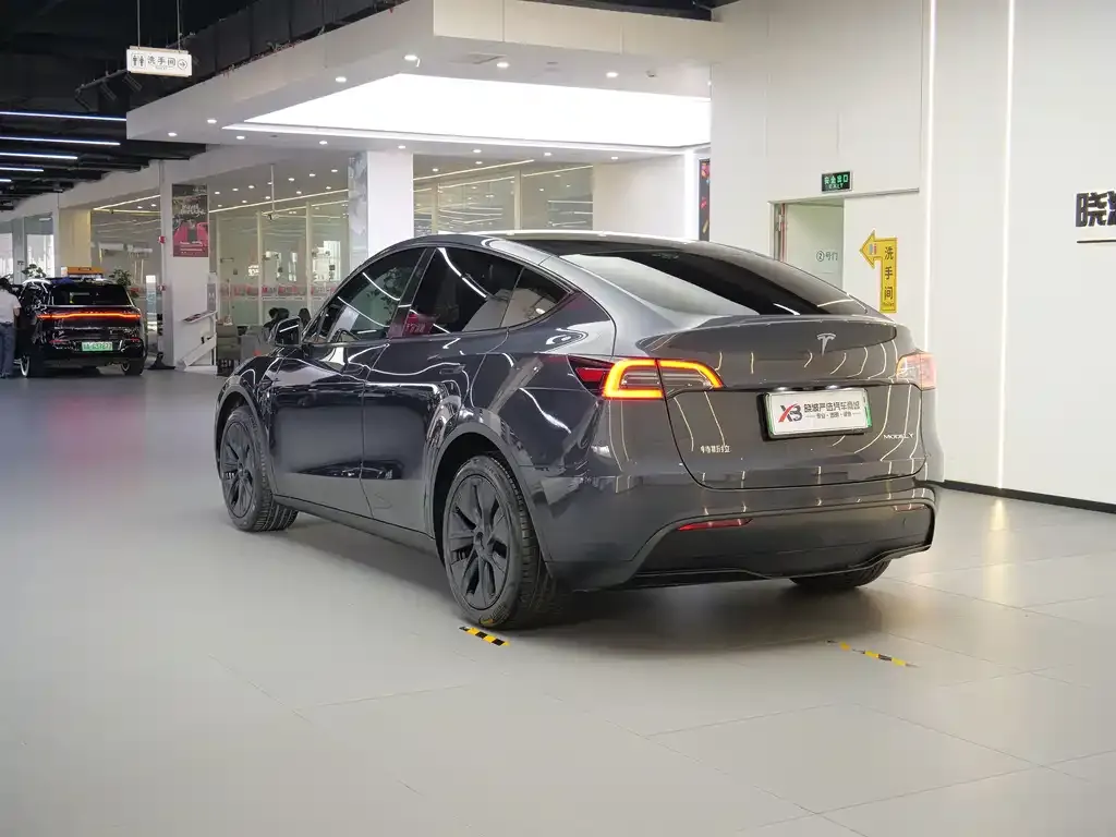 Tesla Model Y — фото 9