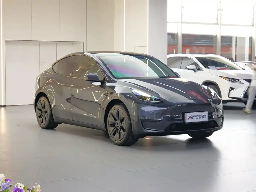 Tesla Model Y — фото 8