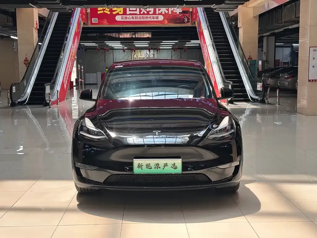 Tesla Model Y — фото 3