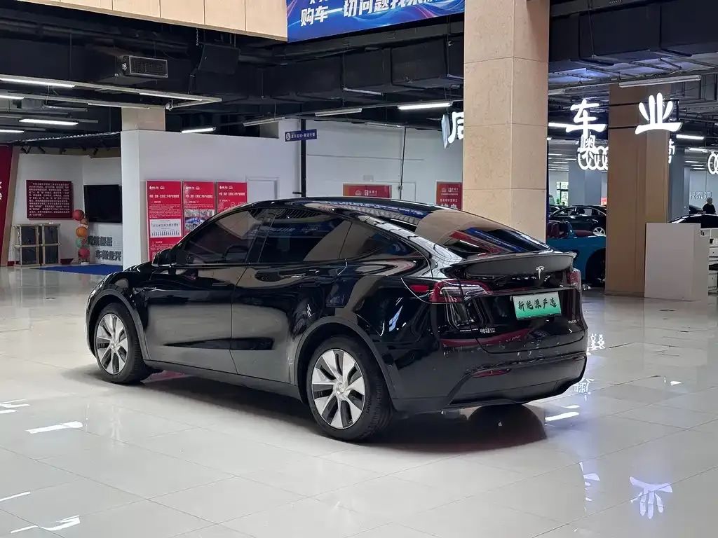 Tesla Model Y — фото 2