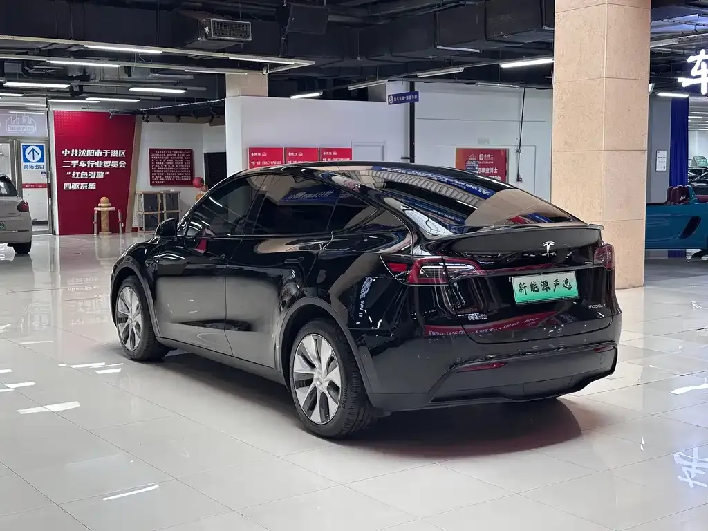 Tesla Model Y — фото 10