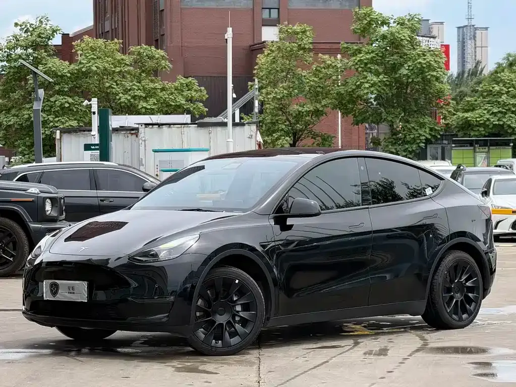 Tesla Model Y — фото 1