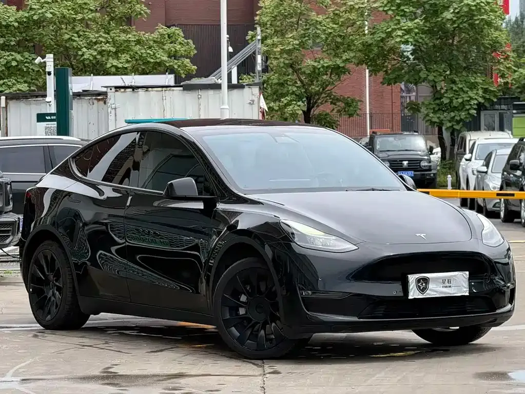 Tesla Model Y — фото 8