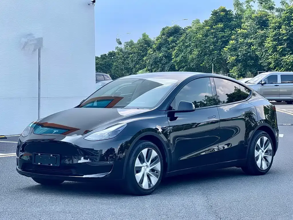 Tesla Model Y — фото 1