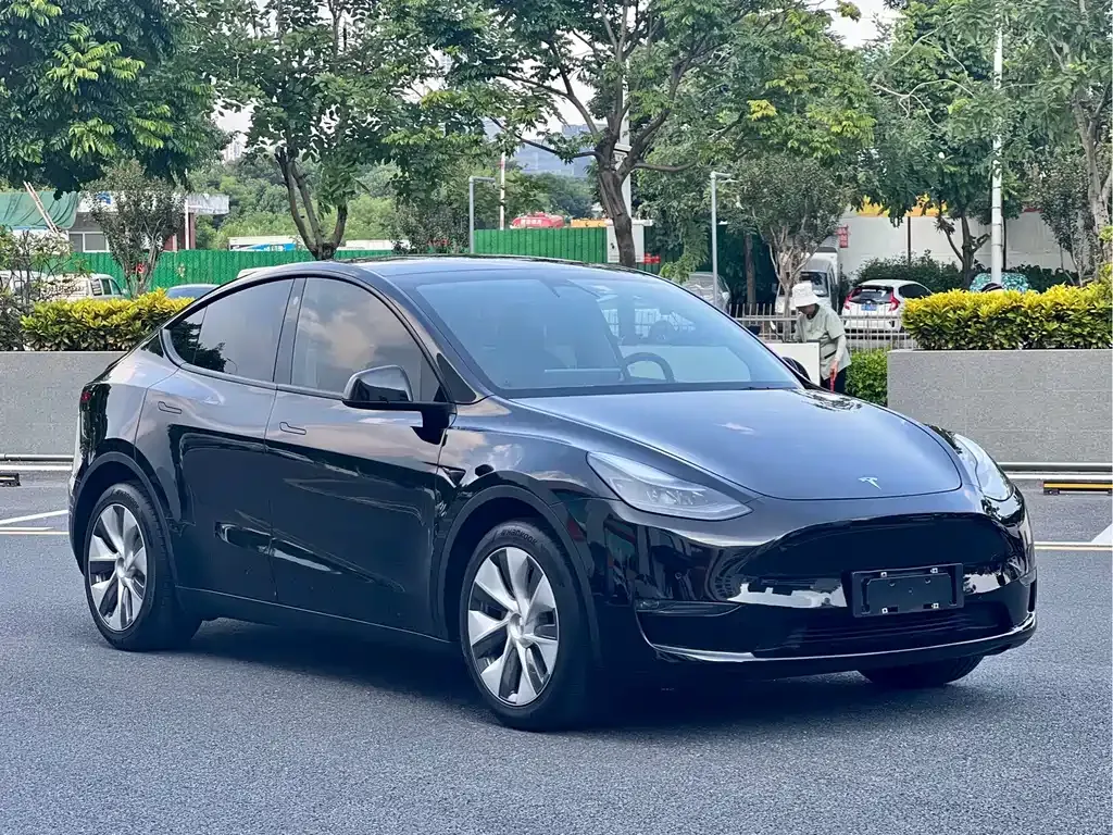 Tesla Model Y — фото 5