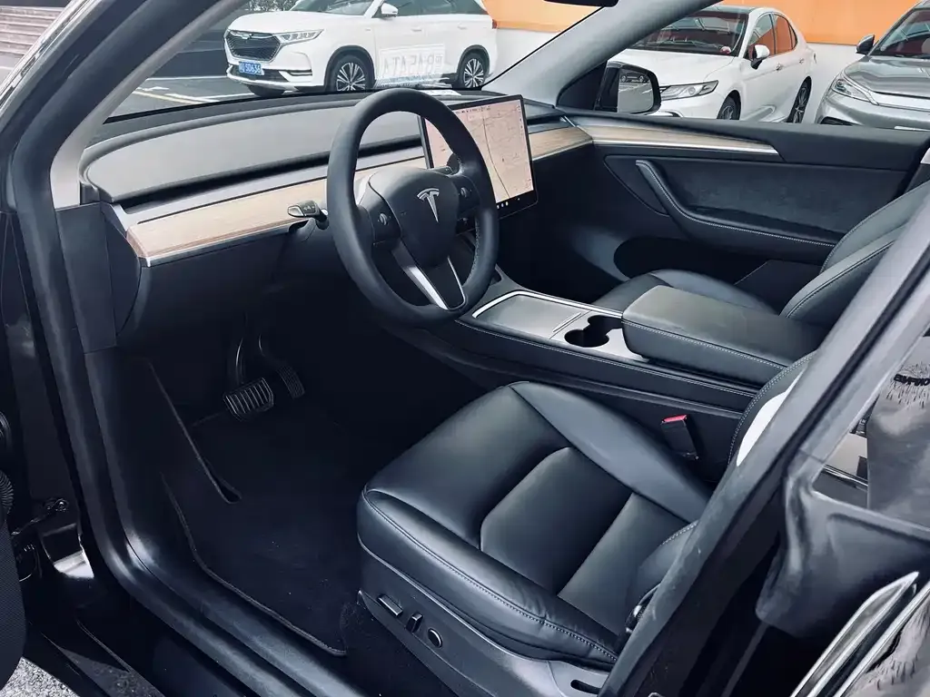 Tesla Model Y — фото 9