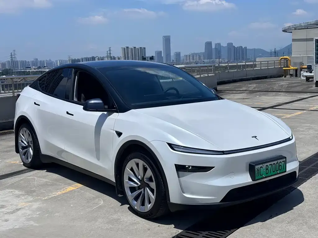 Tesla Model Y — фото 1