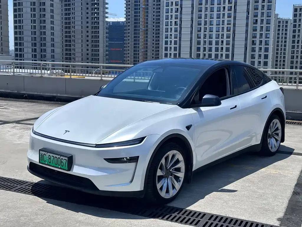 Tesla Model Y — фото 6