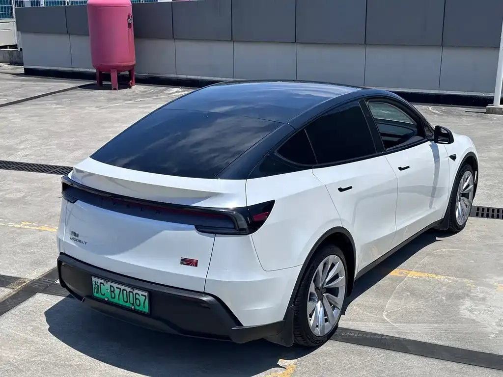 Tesla Model Y — фото 5