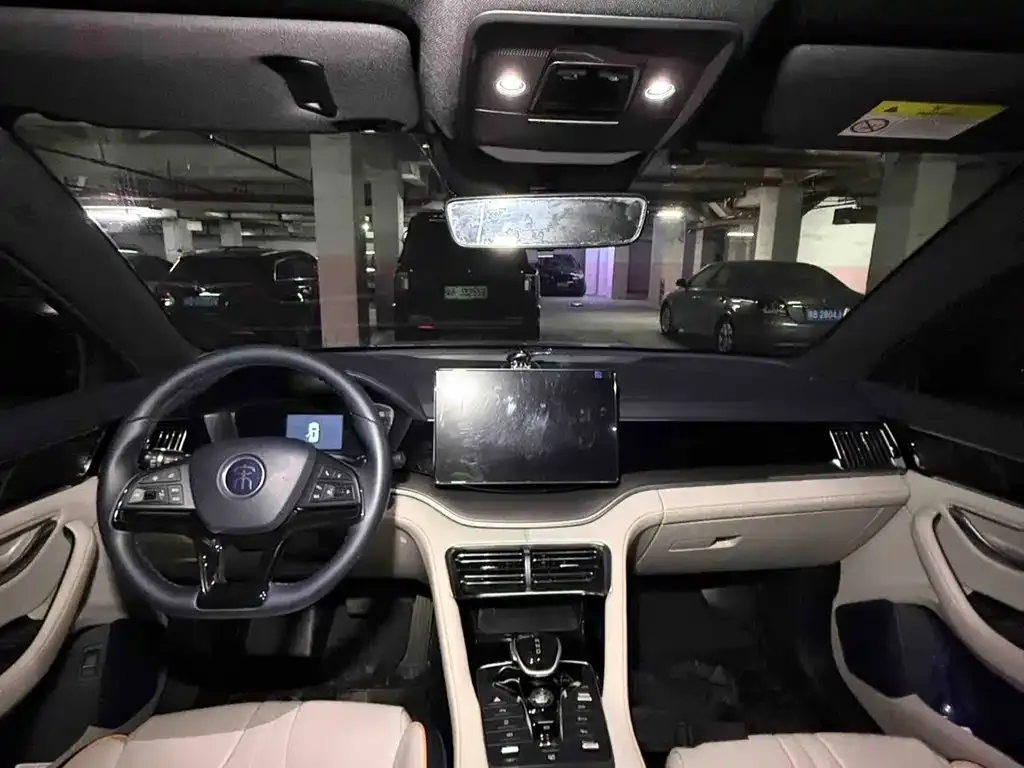 BYD PLUS New Energy — фото 4