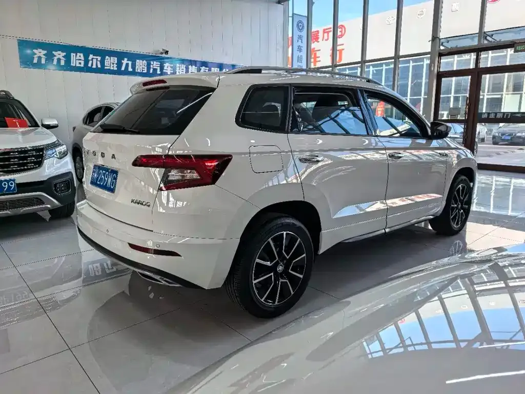 Skoda Karoq — фото 4