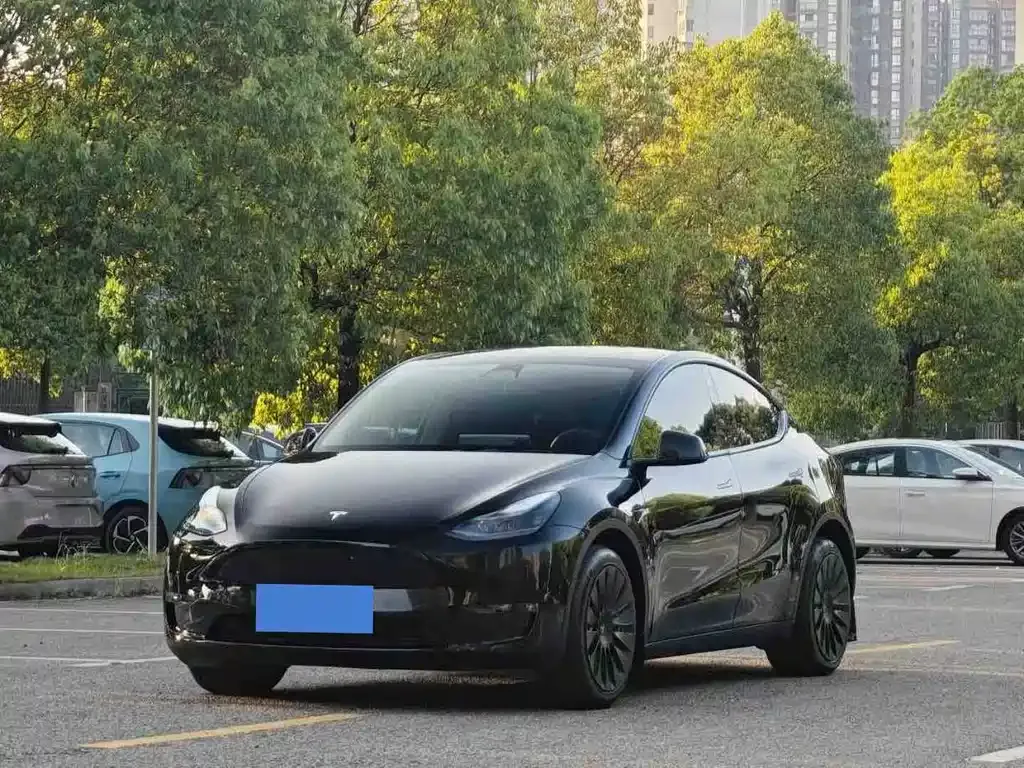 Tesla Model Y — фото 1