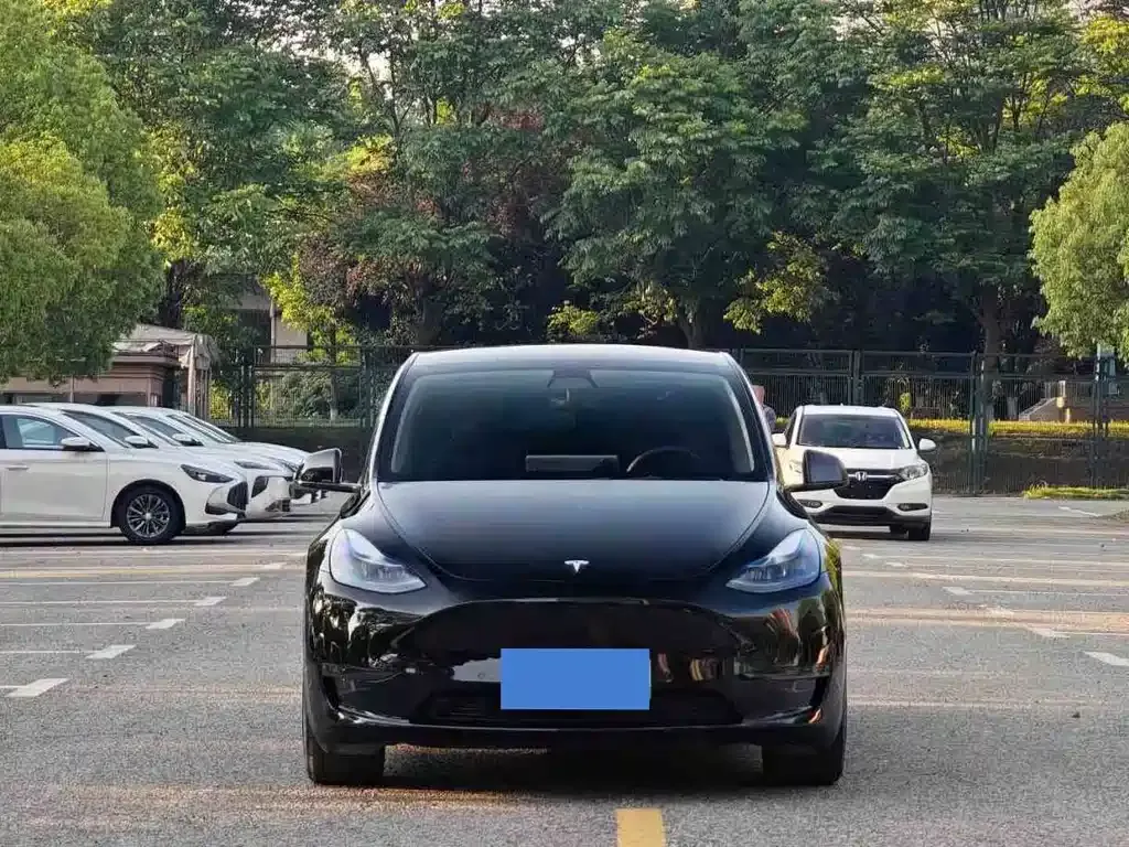Tesla Model Y — фото 7
