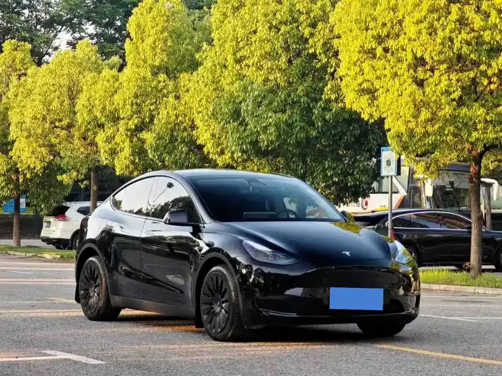 Tesla Model Y — фото 5