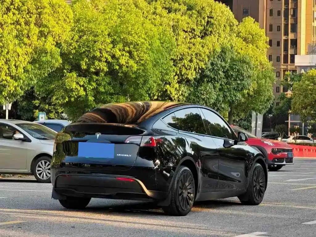 Tesla Model Y — фото 8